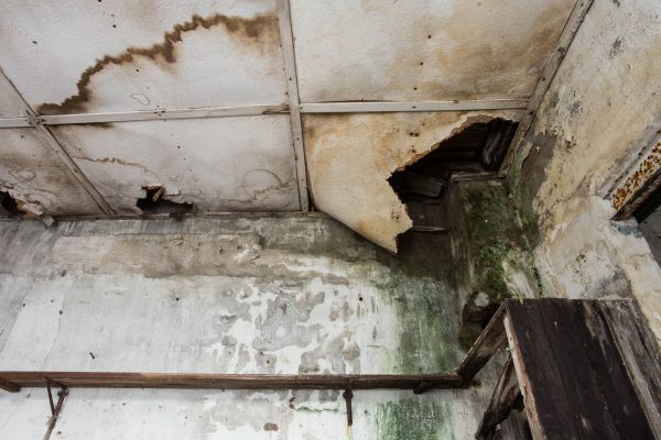 Water Damage Service in Kennesaw