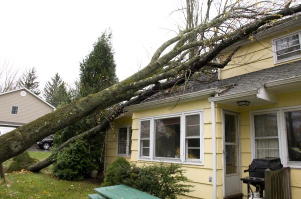 Cost of Hurricane Damage Repair in Kennesaw